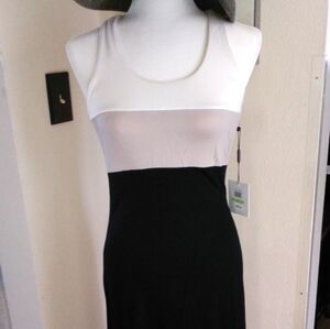 Calvin Klein Beautiful Dress